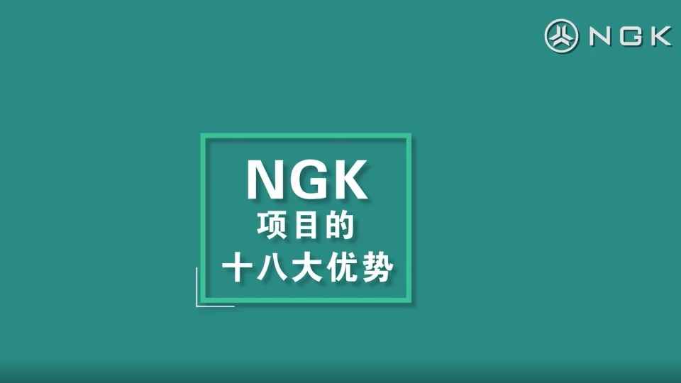 NGK项目的十八大优势